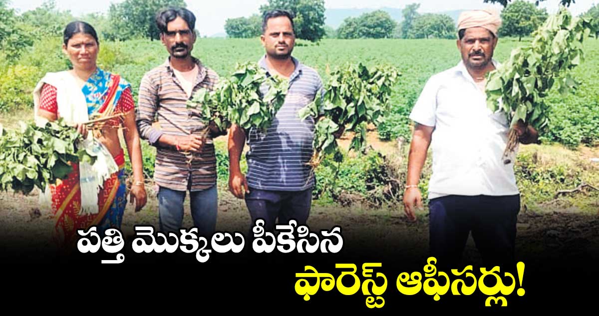 పత్తి మొక్కలు పీకేసిన ఫారెస్ట్ ఆఫీసర్లు!