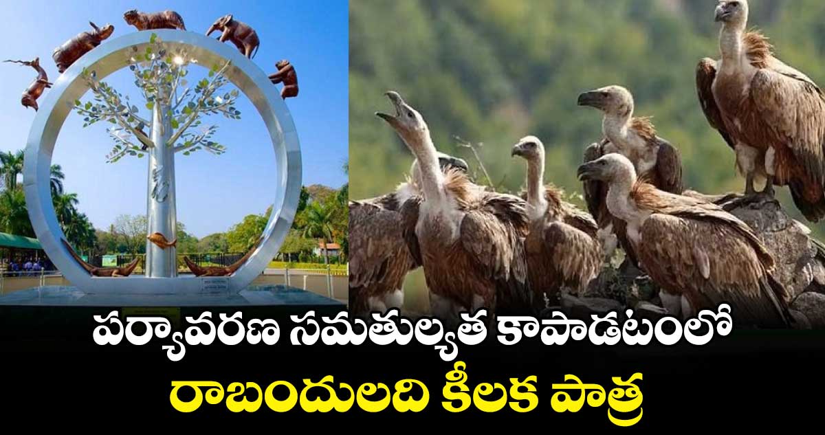 పర్యావరణ సమతుల్యత కాపాడటంలో రాబందులది కీలక పాత్ర: డా.ఎలుసింగ్