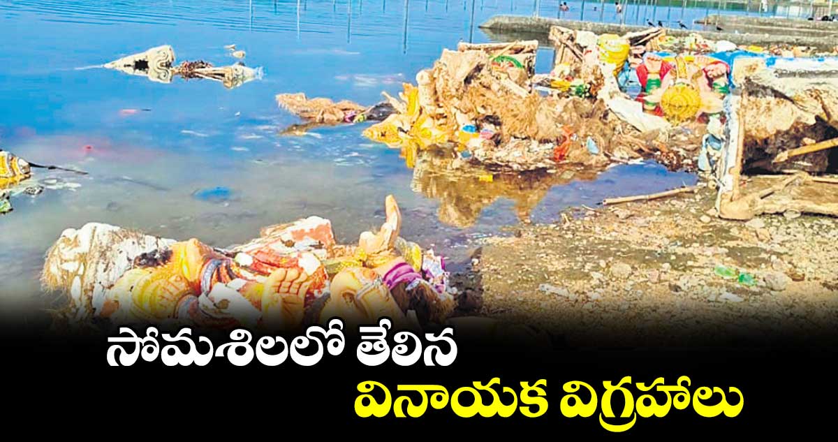 సోమశిలలో తేలిన వినాయక విగ్రహాలు