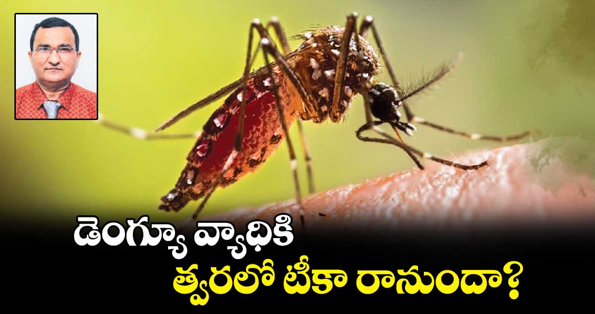 డెంగ్యూ వ్యాధికి త్వరలో టీకా రానుందా?