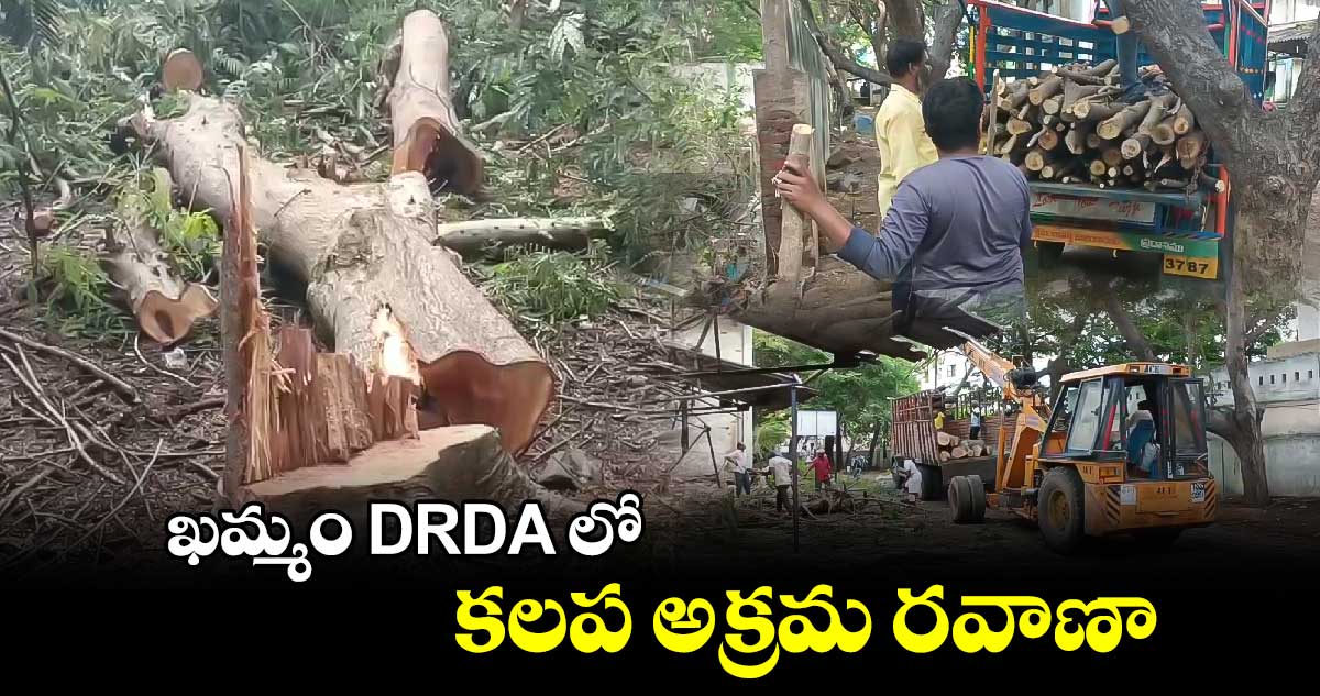 ఖమ్మం DRDA లో కలప అక్రమ రవాణా