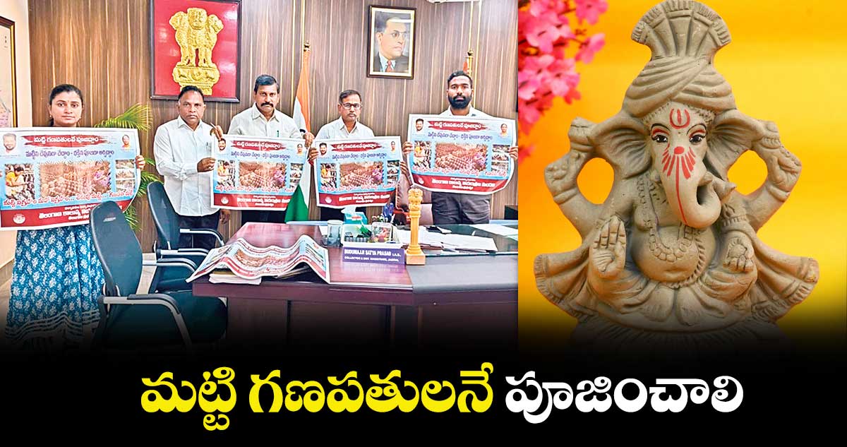 మట్టి గణపతులనే పూజించాలి : కలెక్టర్ పమేలాసత్పతి