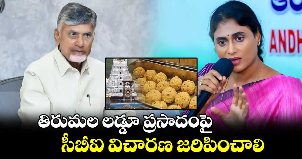 తిరుమల లడ్డూ ప్రసాదంపై సీబీఐ విచారణ జరిపించాలి.. షర్మిల సంచలన ట్వీట్