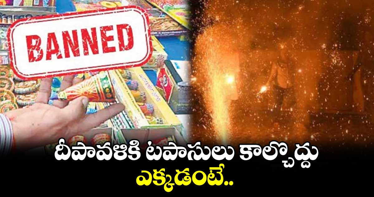 దీపావళికి టపాసులు కాల్చొద్దు.. ఎక్కడంటే..