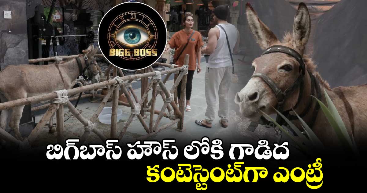 మరీ టూ మచ్ కదా : బిగ్⁬బాస్ హౌస్ లోకి గాడిద.. కంటెస్టెంట్⁬గా ఎంట్రీ.. షాకిచ్చిన సల్మాన్ ఖాన్! 