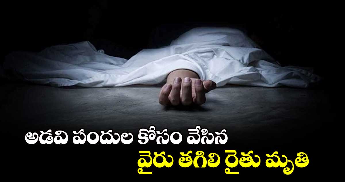 అడవి పందుల కోసం వేసిన వైరు తగిలి రైతు మృతి