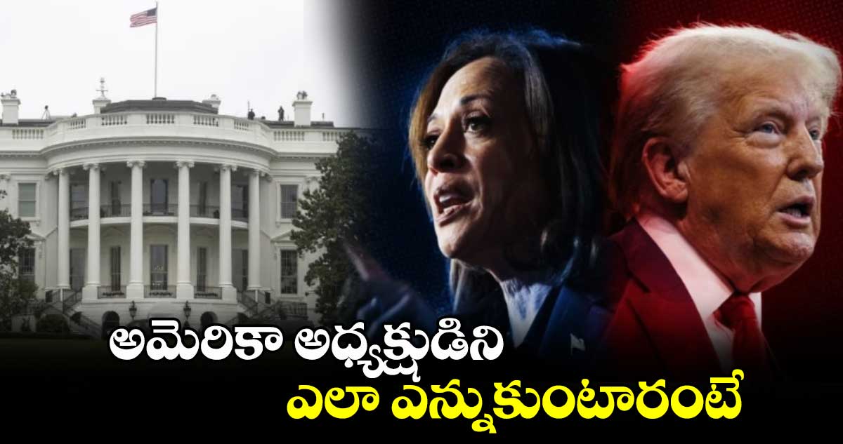 US Elections 2024: అమెరికా అధ్యక్షుడిని ఎలా ఎన్నుకుంటారంటే..