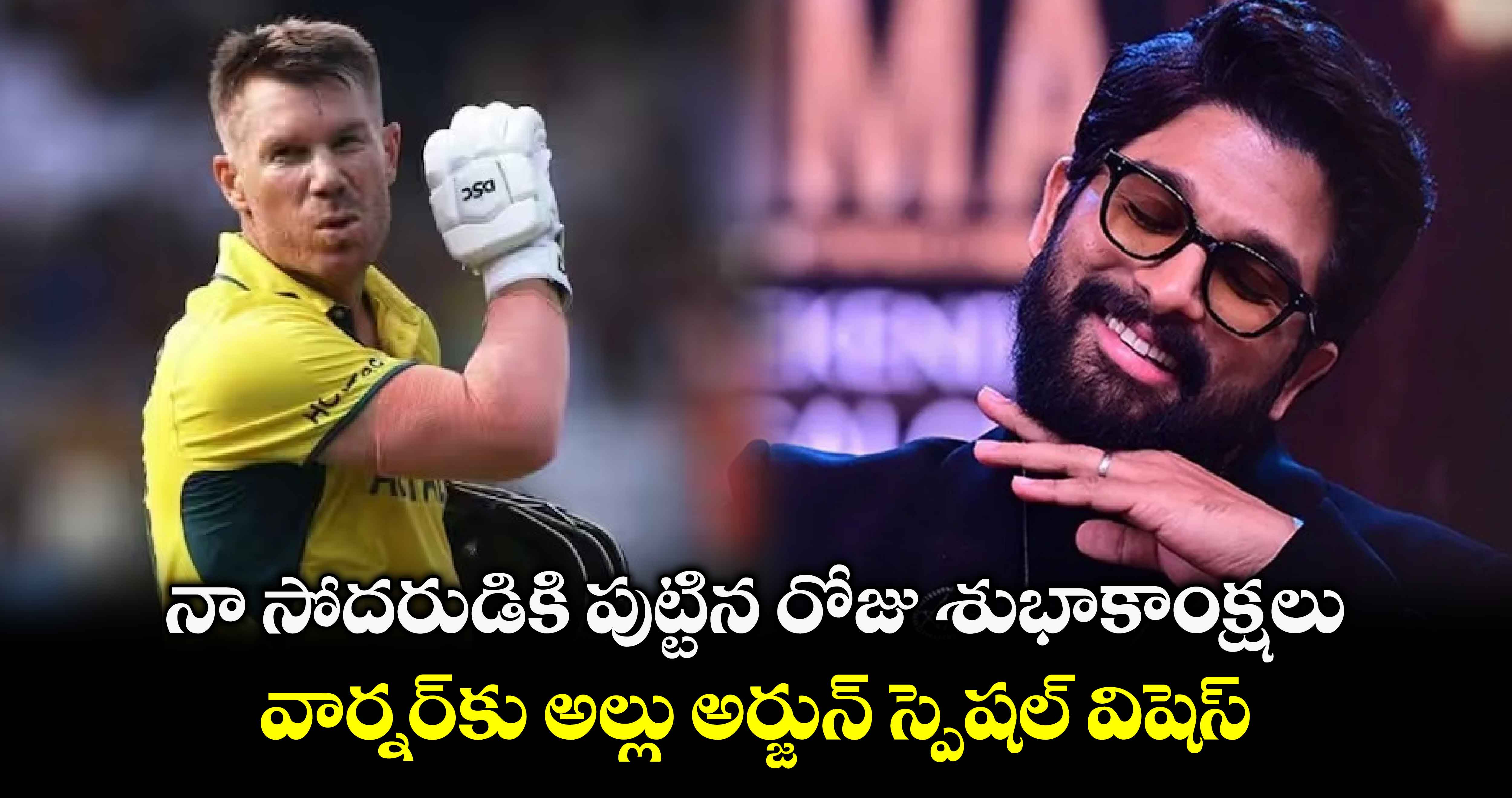 David Warner: నా సోదరుడికి పుట్టిన రోజు శుభాకాంక్షలు.. వార్నర్‌కు అల్లు అర్జున్ స్పెషల్ విషెస్