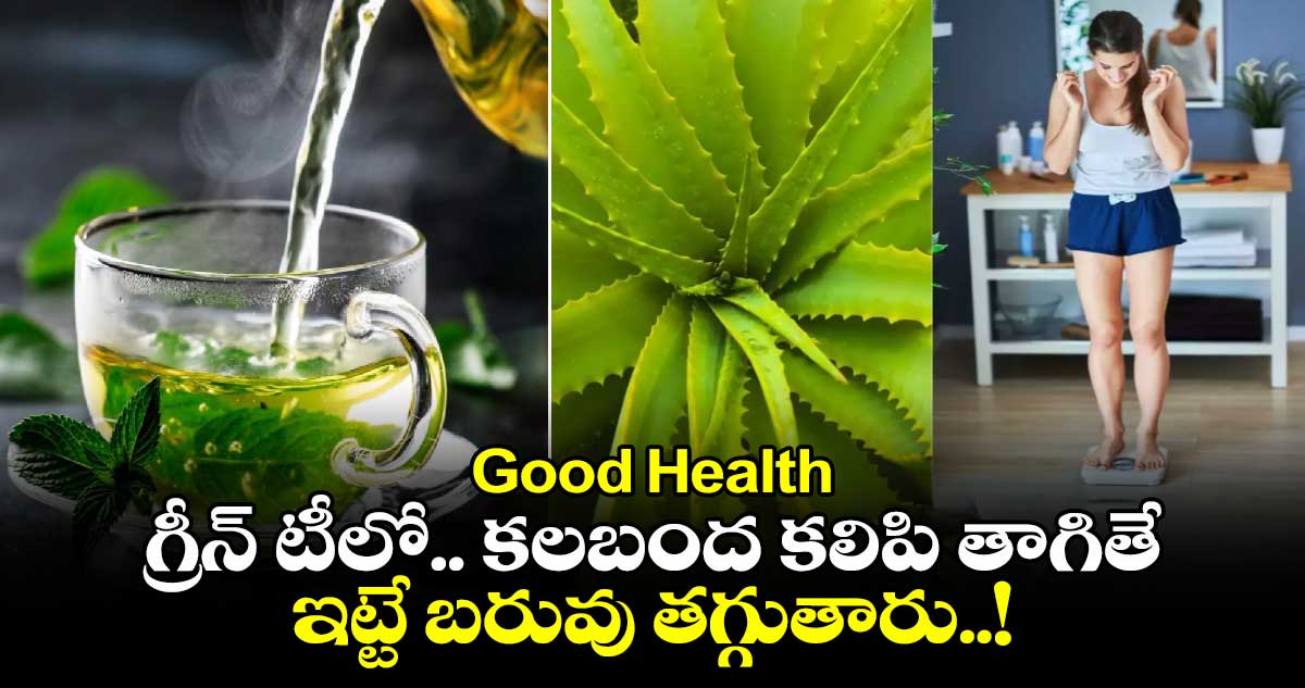 Good Health : గ్రీన్ టీలో.. కలబంద కలిపి తాగితే.. ఇట్టే బరువు తగ్గుతారు..!