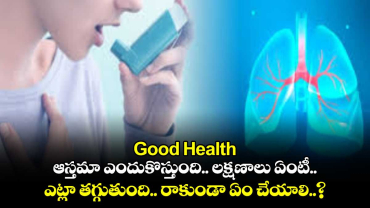 Good Health: ఆస్తమా ఎందుకొస్తుంది.. లక్షణాలు ఏంటీ.. ఎట్లా తగ్గుతుంది.. రాకుండా ఏం చేయాలి..?