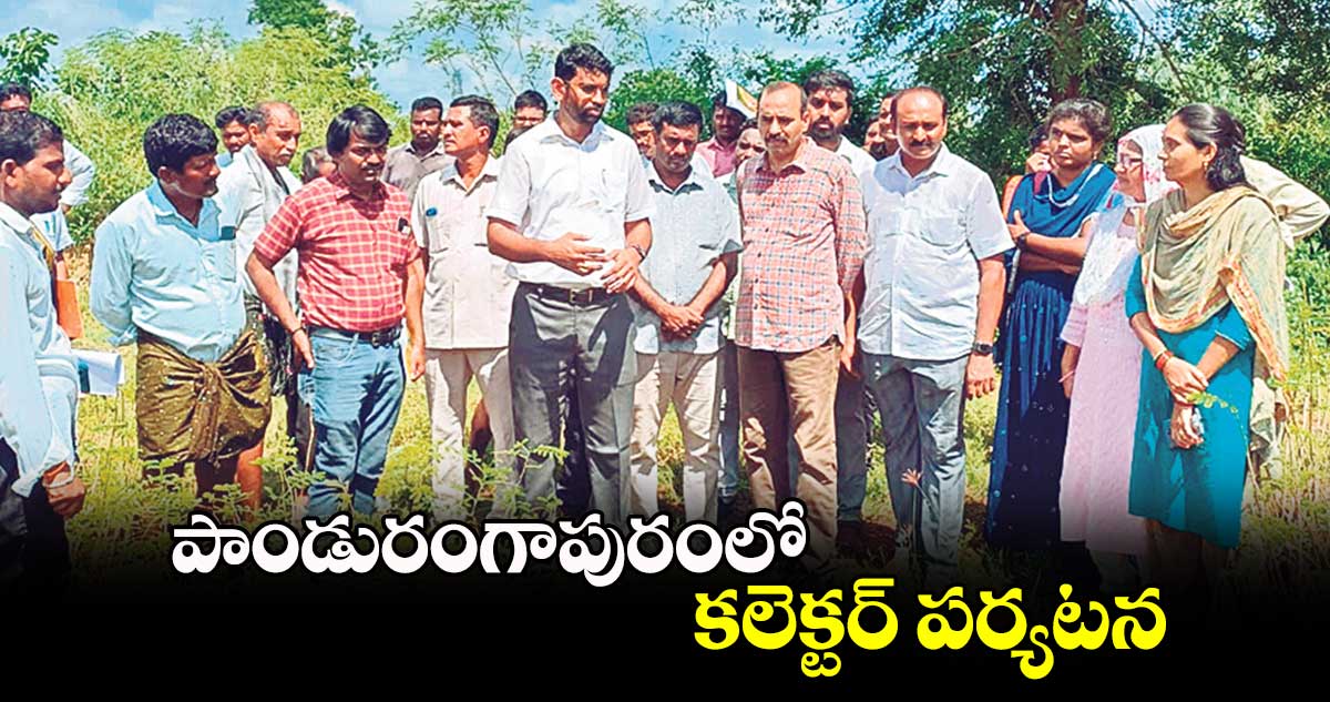 పాండురంగాపురంలో కలెక్టర్​ పర్యటన