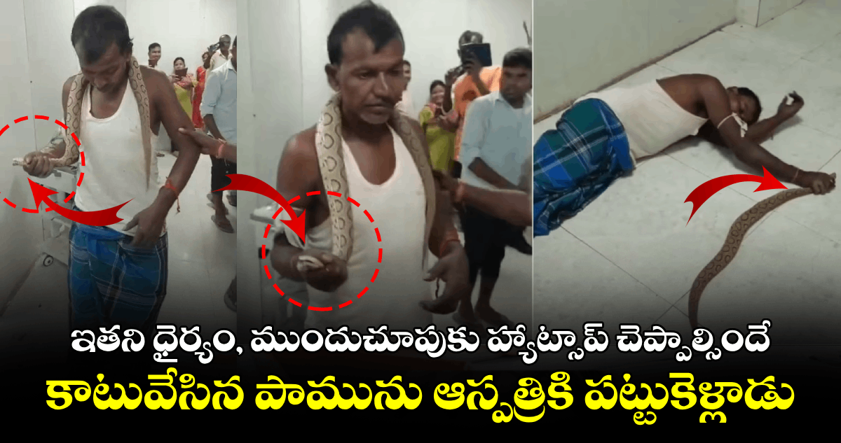 Viral Video: ఇతని ధైర్యం, ముందుచూపుకు హ్యాట్సాప్ చెప్పాల్సిందే..కాటువేసిన పామును ఆస్పత్రికి పట్టుకెళ్లాడు