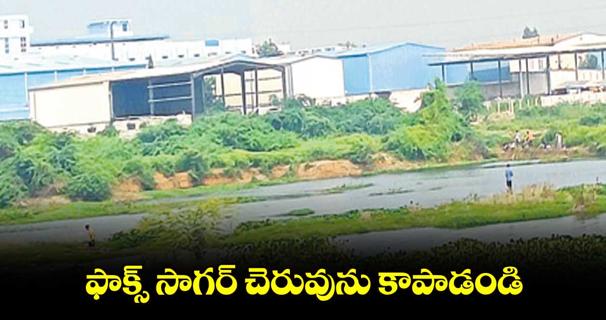 ఫాక్స్ సాగర్​ చెరువును కాపాడండి: బీజేపీ