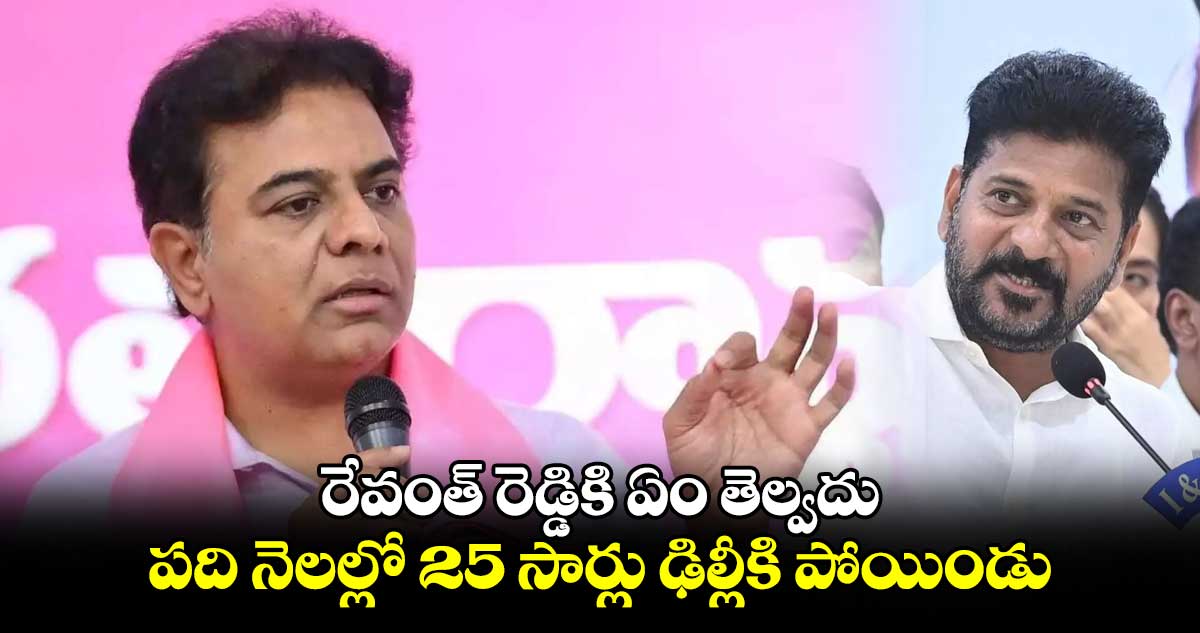 రేవంత్ రెడ్డికి ఏం తెల్వదు : పది నెలల్లో 25 సార్లు ఢిల్లీకి పోయిండు: కేటీఆర్