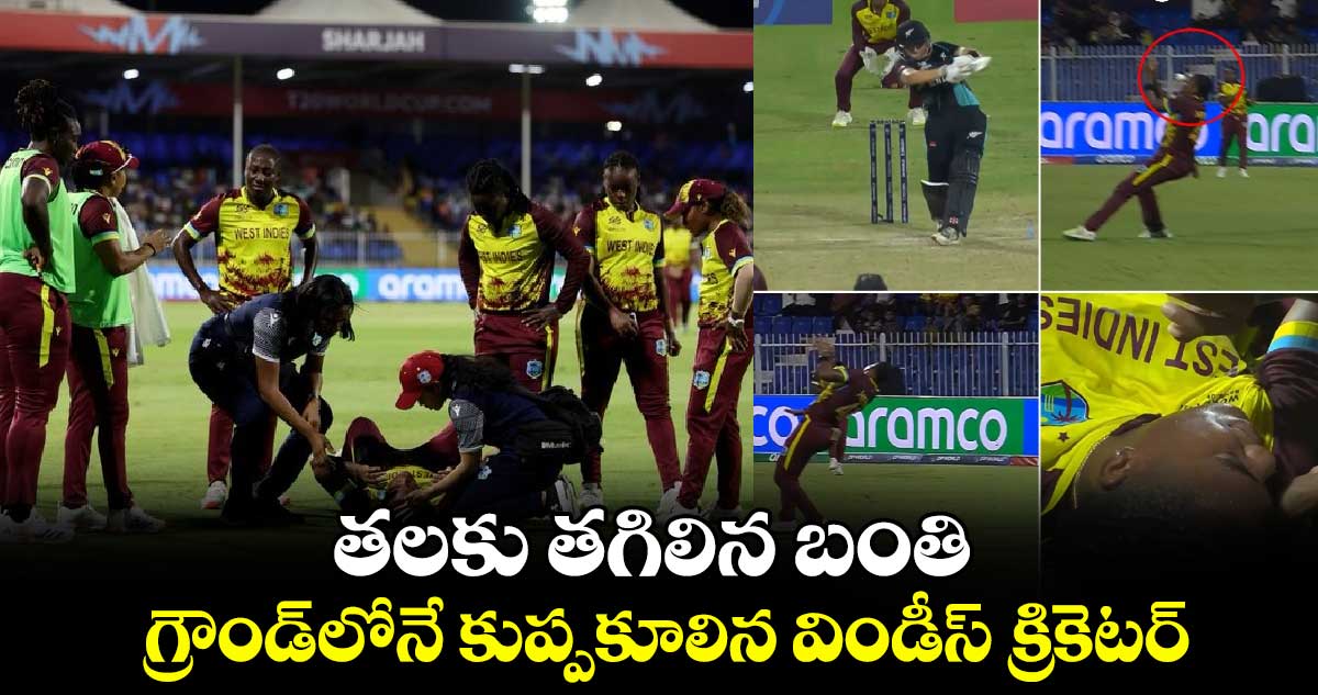 WI vs NZ T20 T20 World Cup 2024: తలకు తగిలిన బంతి.. గ్రౌండ్‌లోనే కుప్పకూలిన విండీస్ క్రికెటర్