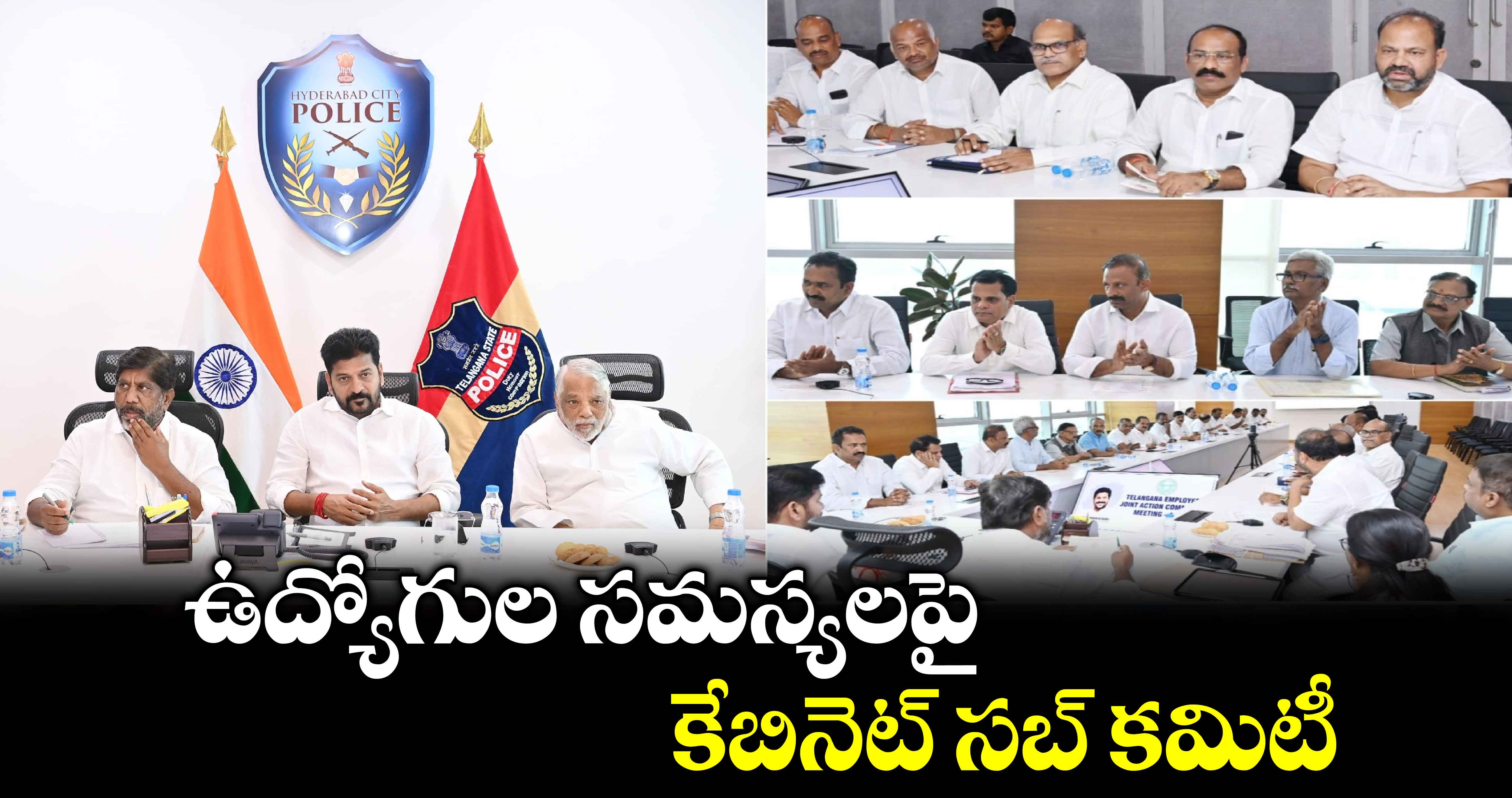 ఉద్యోగుల సమస్యలపై కేబినెట్ సబ్ కమిటీ