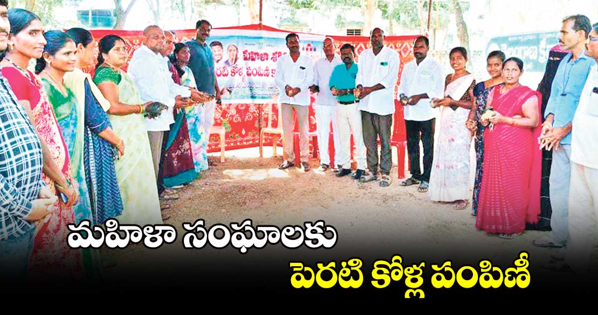 మహిళా సంఘాలకు పెరటి కోళ్ల పంపిణీ