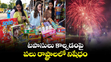 Diwali 2024: టపాసులు కాల్చడంపై పలు రాష్ట్రాలలో నిషేధం