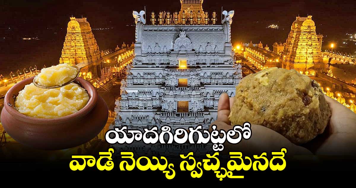  యాదగిరిగుట్టలో వాడే నెయ్యి స్వచ్ఛమైనదే..