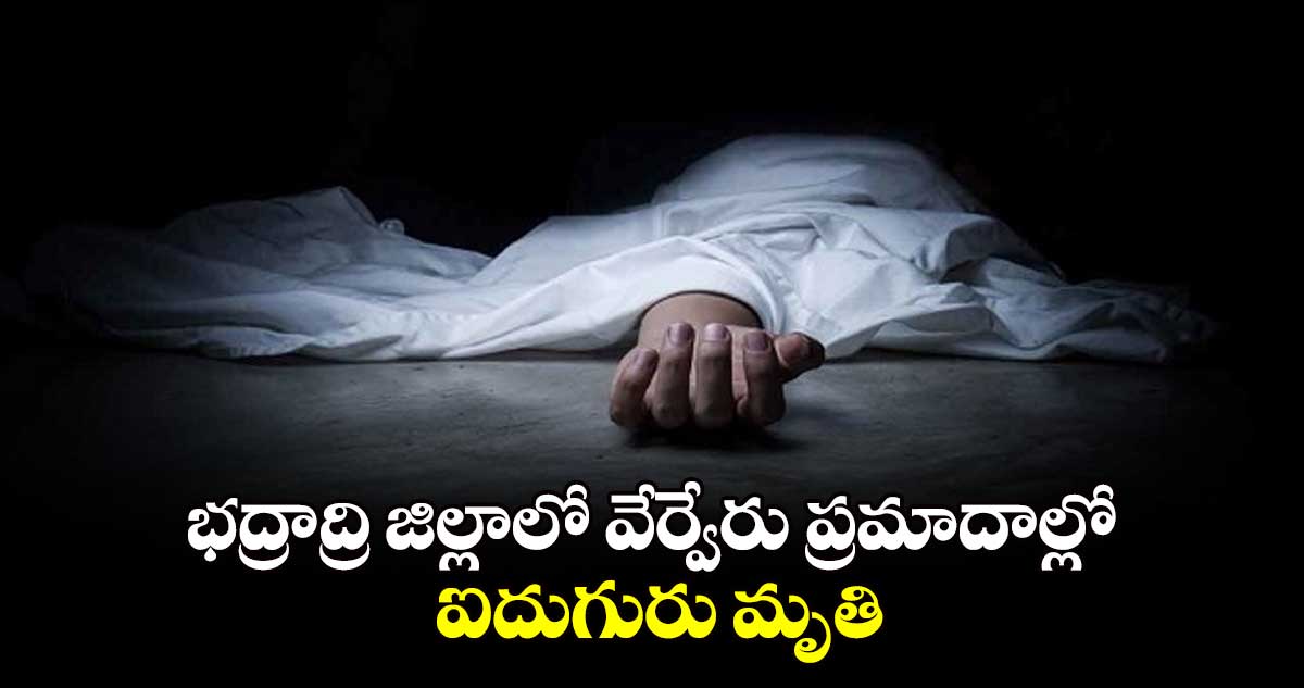 భద్రాద్రి జిల్లాలో వేర్వేరు ప్రమాదాల్లో ఐదుగురు మృతి