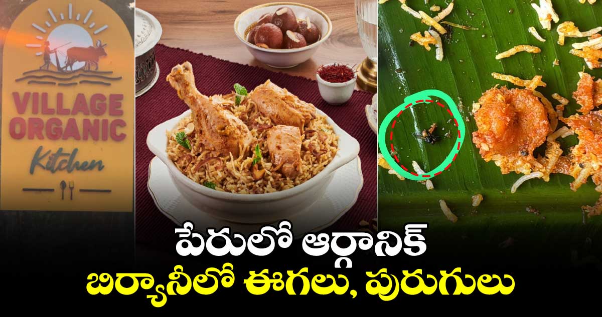 పేరులో ఆర్గానిక్.. బిర్యానీలో ఈగలు, పురుగులు.. 