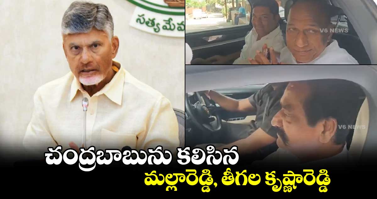 చంద్రబాబును కలిసిన  మల్లారెడ్డి, తీగల కృష్ణారెడ్డి