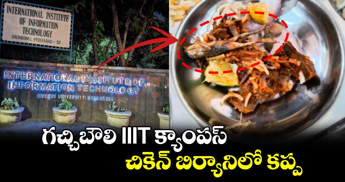 గచ్చిబౌలి IIIT క్యాంపస్‌ చికెన్ బిర్యానిలో కప్ప