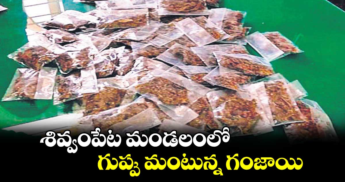 శివ్వంపేట మండలంలో గుప్పు మంటున్న గంజాయి