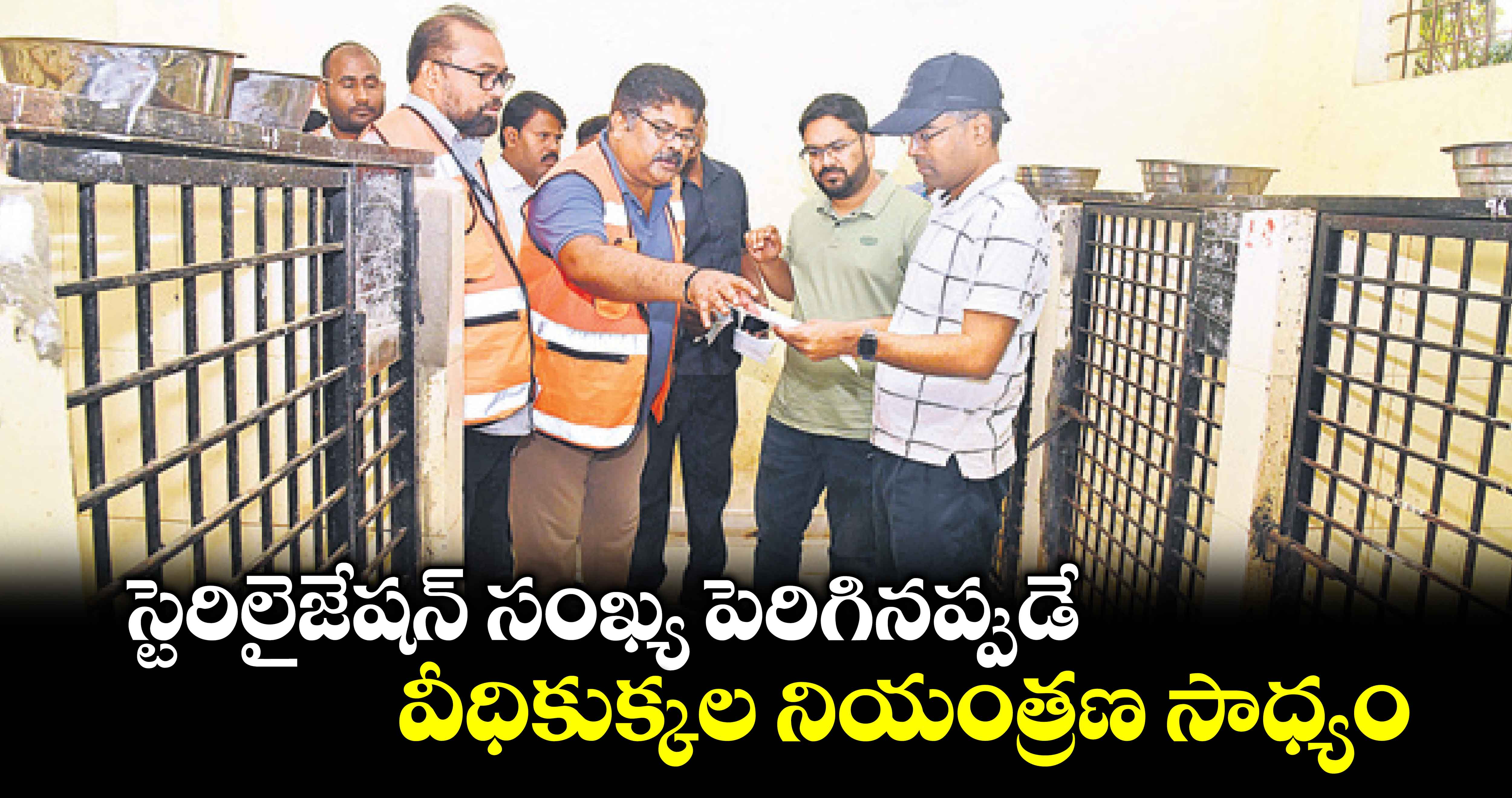 స్టెరిలైజేషన్ సంఖ్య పెరిగినప్పుడే  వీధికుక్కల నియంత్రణ సాధ్యం : జీహెచ్ఎంసీ కమిషనర్ ఇలంబర్తి