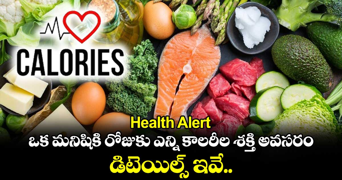 Health Alert: ఒక మనిషికి రోజుకు ఎన్ని కాలరీల శక్తి అవసరం..డిటెయిల్స్ ఇవే..