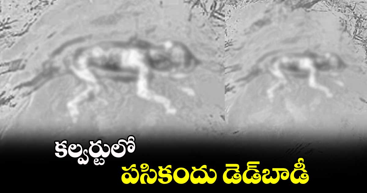 కల్వర్టులో పసికందు డెడ్‌బాడీ