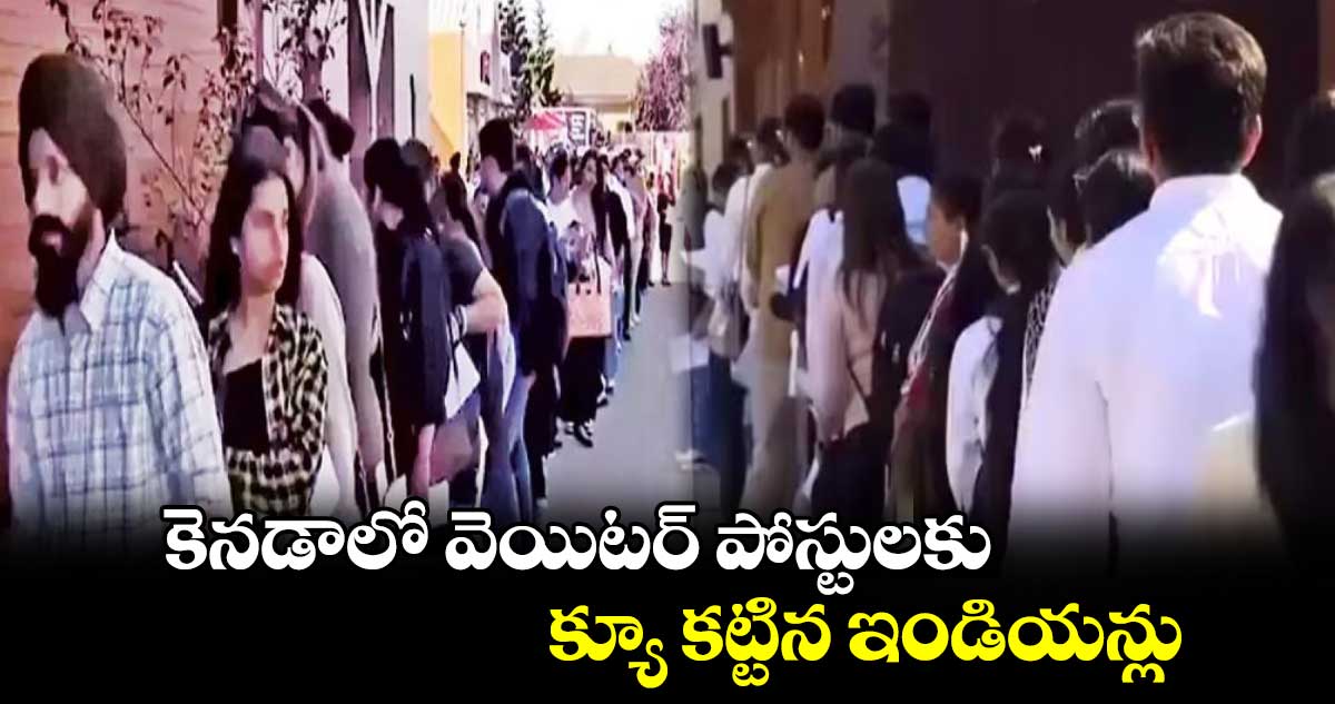 Viral Video: కెనడాలో వెయిటర్ పోస్టులకు.. క్యూ కట్టిన ఇండియన్లు 