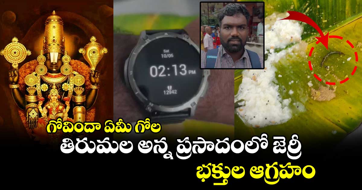 గోవిందా ఏమీ గోల: తిరుమల అన్న ప్రసాదంలో జెర్రీ.. భక్తుల ఆగ్రహం