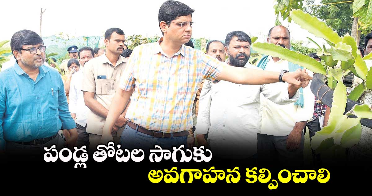 పండ్ల తోటల సాగుకు అవగాహన కల్పించాలి : కలెక్టర్​ఆశిశ్​సంగ్వాన్