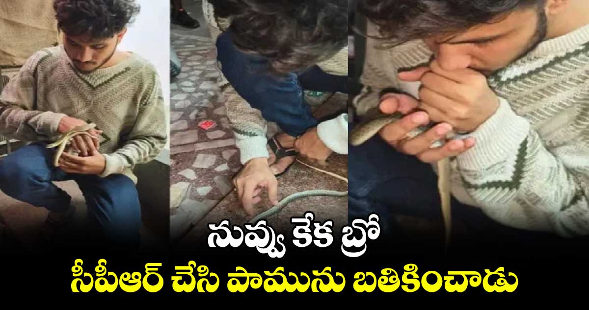 Viral Video: నువ్వు కేక బ్రో:సీపీఆర్ చేసి పామును బతికించాడు 