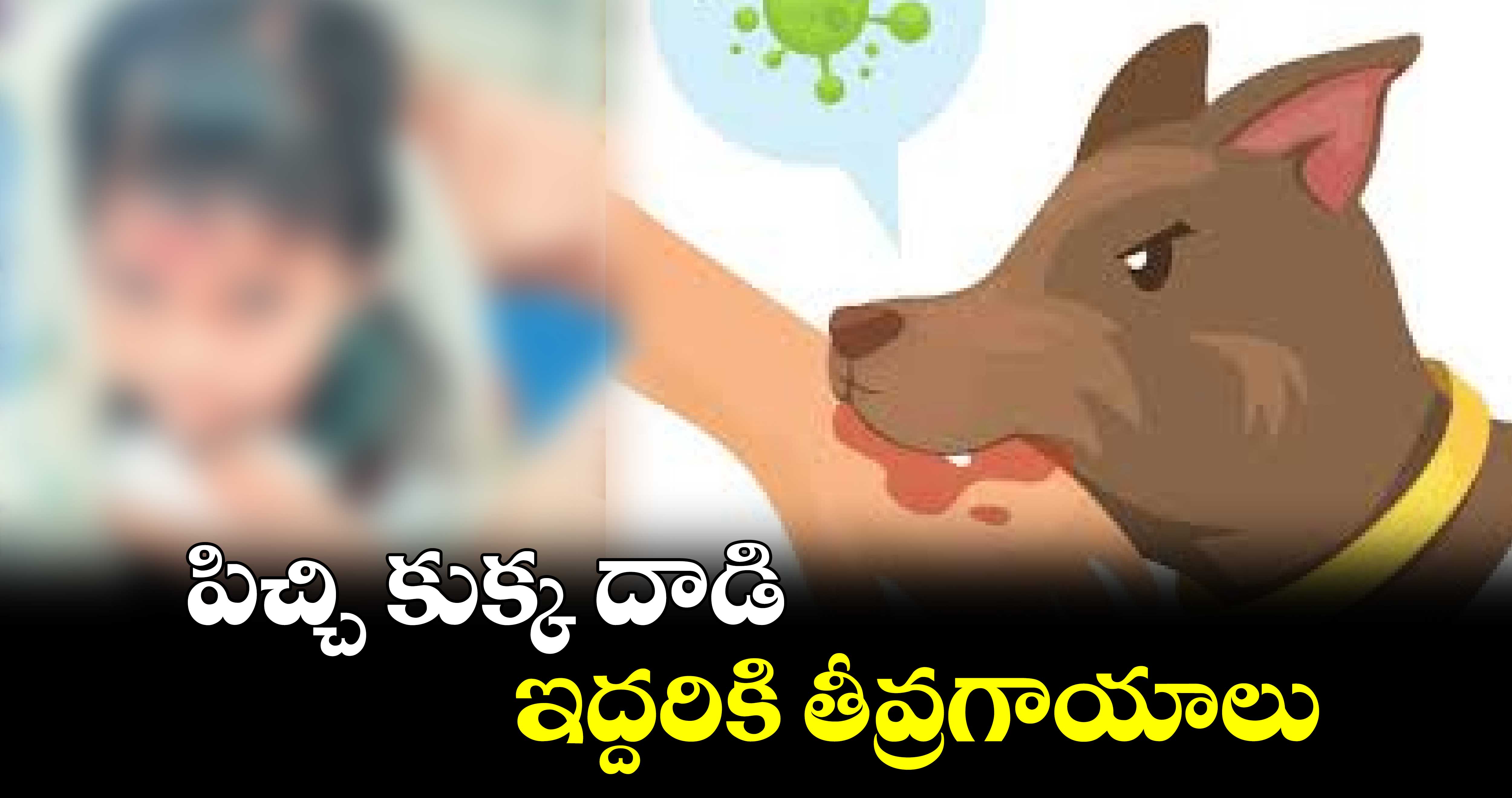 పిచ్చి కుక్క దాడి.. ఇద్దరికి తీవ్రగాయాలు