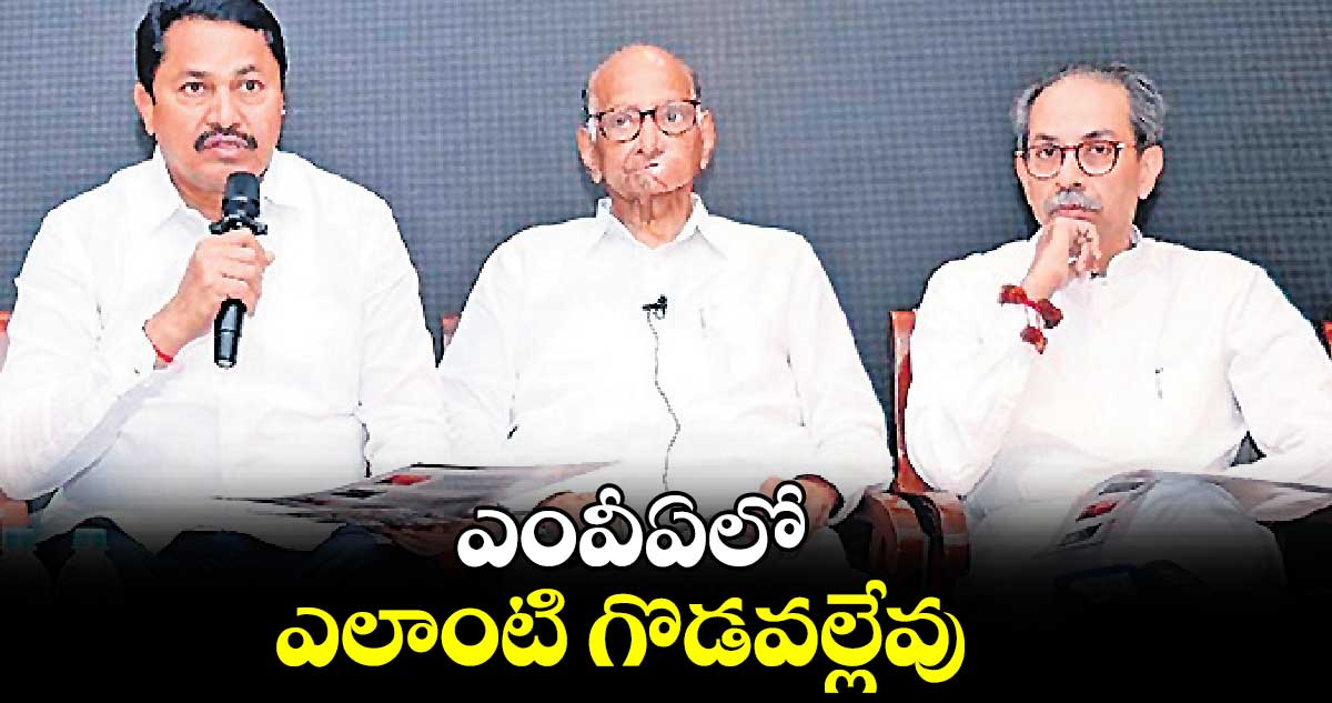 ఎంవీఏలో ఎలాంటి గొడవల్లేవు:మహారాష్ట్ర కాంగ్రెస్