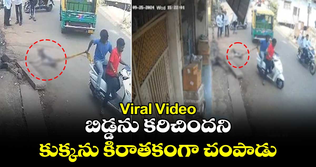 Viral Video:బిడ్డను కరిచిందని..కుక్కను కిరాతకంగా చంపాడు