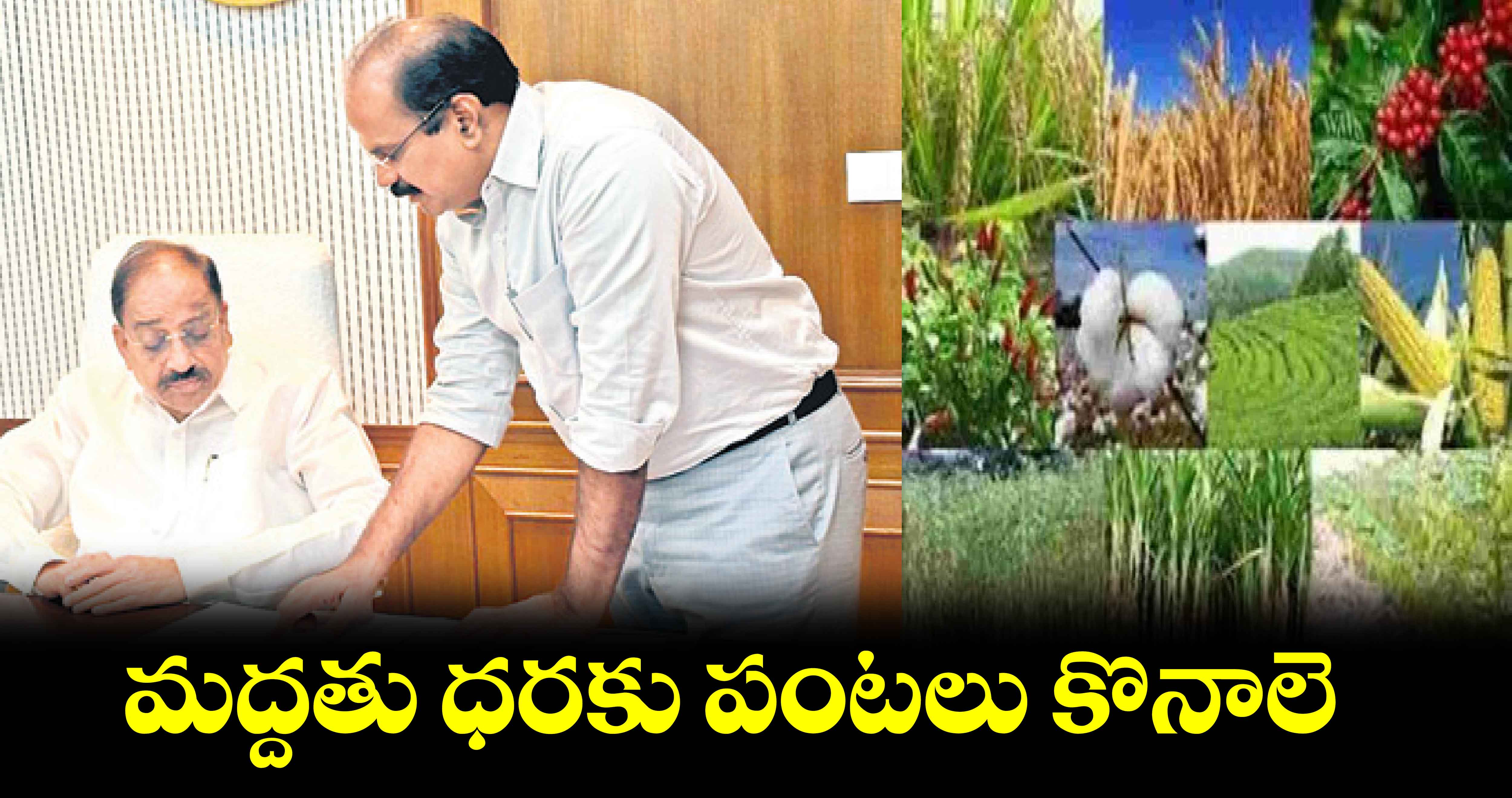 మద్దతు ధరకు పంటలు కొనాలె     