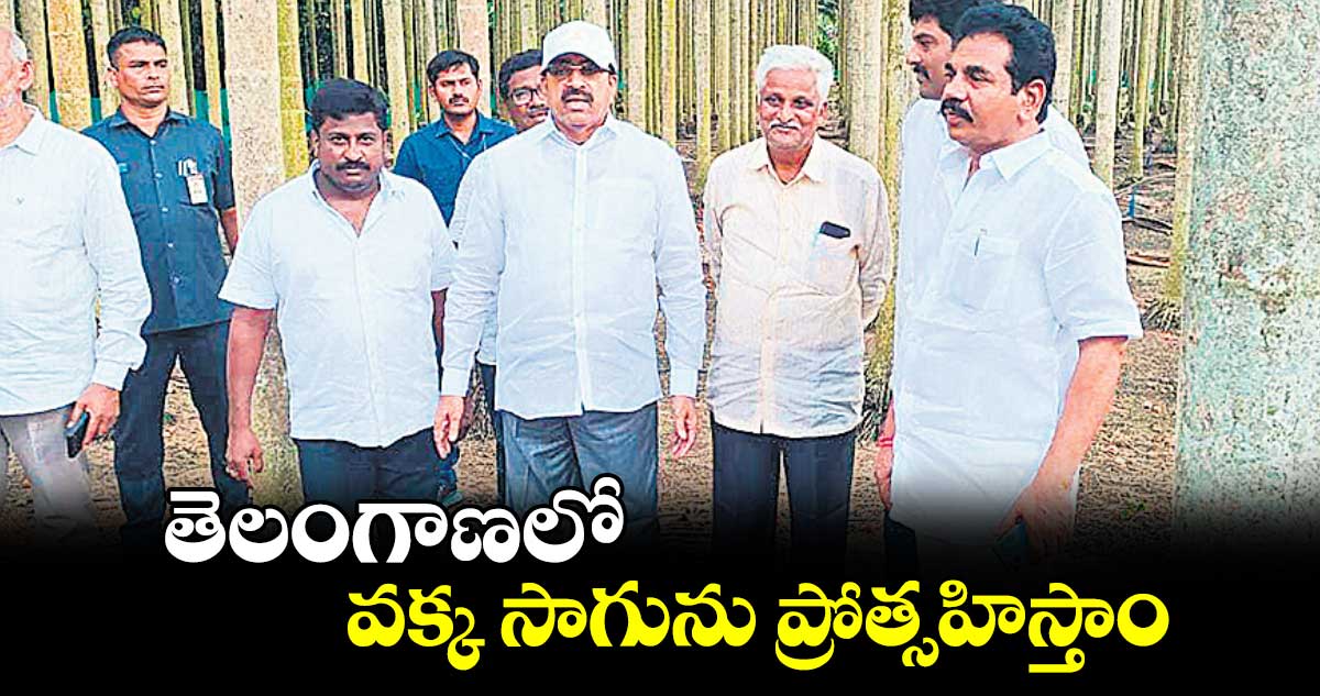 తెలంగాణలో వక్క సాగును ప్రోత్సహిస్తాం : మంత్రి తుమ్మల నాగేశ్వరరావు