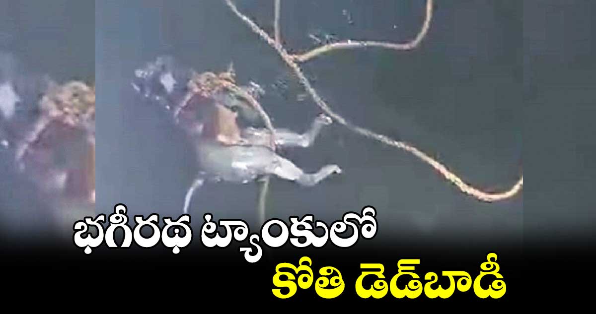 భగీరథ ట్యాంకులో కోతి డెడ్​బాడీ