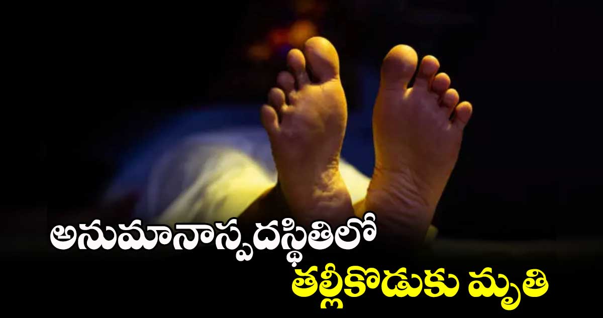 అనుమానాస్పదస్థితిలో తల్లీకొడుకు మృతి