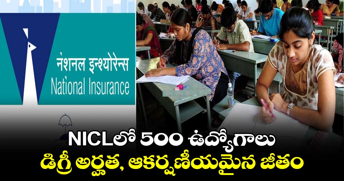 Govt Jobs: NICLలో 500 ఉద్యోగాలు.. డిగ్రీ అర్హత, ఆకర్షణీయమైన జీతం