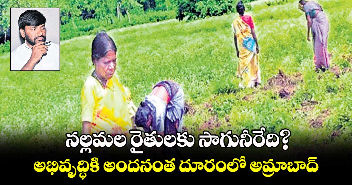 నల్లమల రైతులకు సాగునీరేది?..అభివృద్ధికి అందనంత దూరంలో అమ్రాబాద్