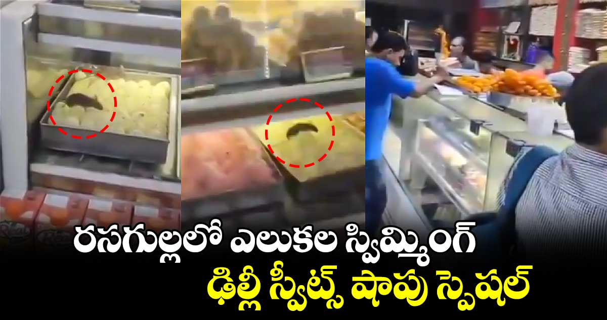 Viral video: రసగుల్లలో ఎలుకల స్విమ్మింగ్..ఢిల్లీ స్వీట్స్ షాపు స్పెషల్