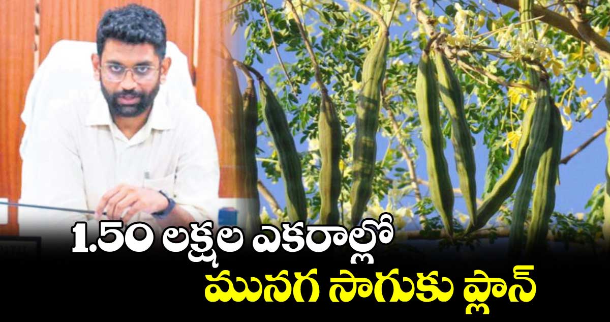 1.50 లక్షల ఎకరాల్లో మునగ సాగుకు ప్లాన్ : కలెక్టర్​ జితేశ్ ​వి పాటిల్