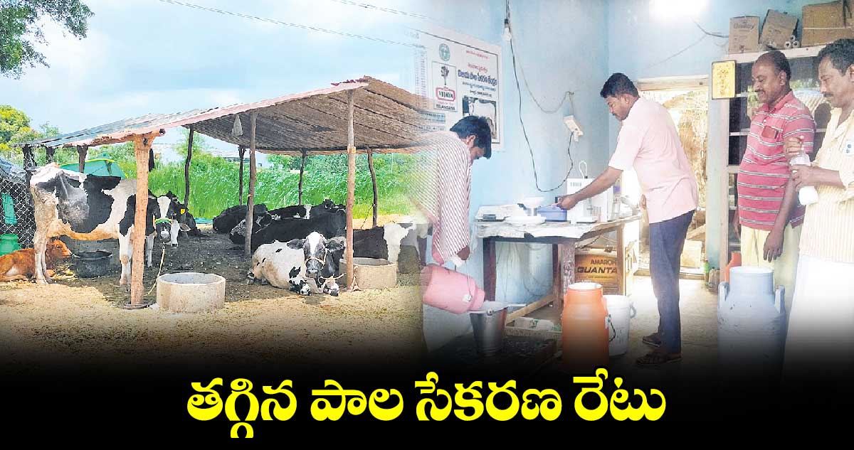 తగ్గిన పాల సేకరణ రేటు