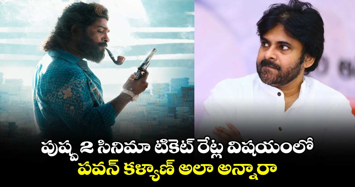 పుష్ప 2 సినిమా టికెట్ రేట్ల విషయంలో పవన్ కళ్యాణ్ అలా అన్నారా..?