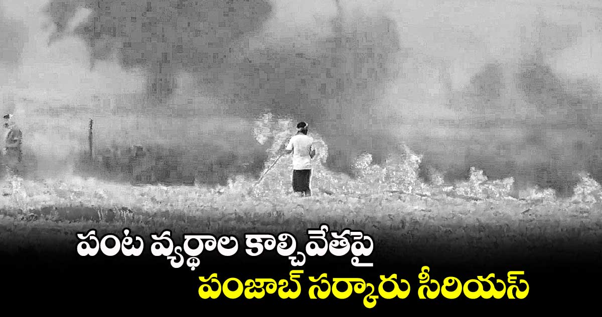 పంట వ్యర్థాల కాల్చివేతపై పంజాబ్ సర్కారు సీరియస్