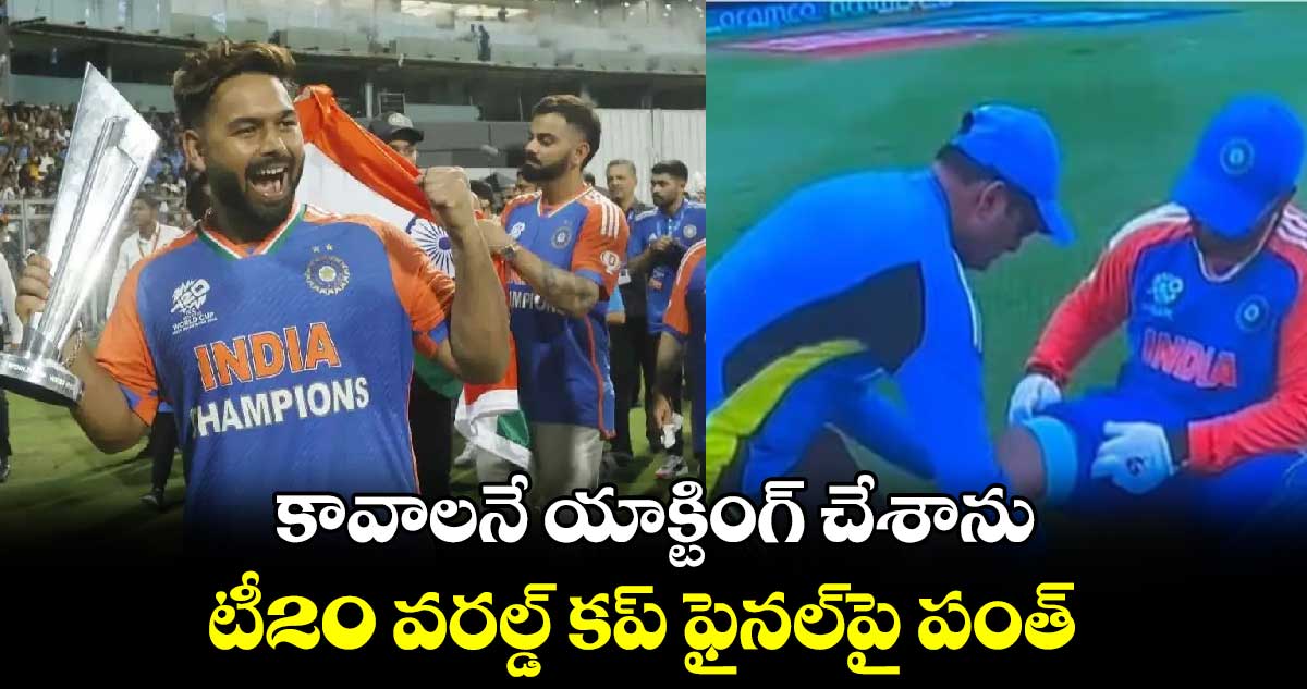 T20 World Cup final 2024: కావాలనే యాక్టింగ్ చేశాను.. టీ20 వరల్డ్ కప్ ఫైనల్‌పై పంత్